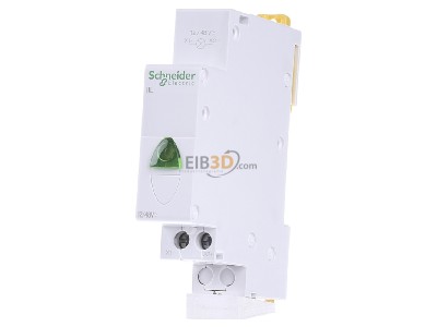 Front view Schneider Electric A9E18331 Indicator light for distribution board 
