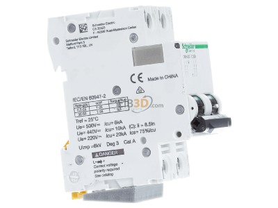 View on the left Schneider Electric A9N61535 Miniature circuit breaker 2-p C32A 

