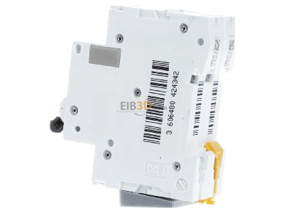 View on the right Schneider Electric A9N61535 Miniature circuit breaker 2-p C32A 
