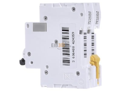 View on the right Schneider Electric A9N61537 Miniature circuit breaker 2-p C40A 
