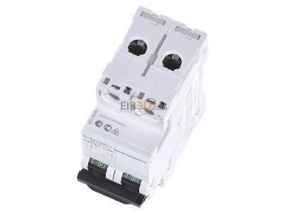 View up front Schneider Electric A9N61537 Miniature circuit breaker 2-p C40A 
