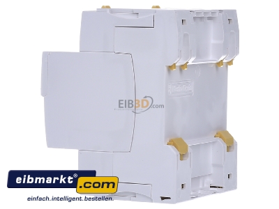View on the right Schneider Electric A9Z21425 Residual current breaker 4-p 25/0,03A
