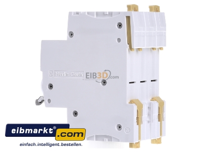 View on the right Schneider Electric A9S65363 Switch for distribution board 63A 
