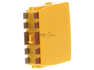 Back view Dehn BXT ML2 BE S 36 Combined arrester for signal systems 
