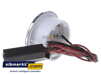 View on the right Brumberg Leuchten P3605W Downlight 1x1W LED
