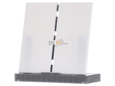 Front view Jung LS 401 TSA WW Cover plate for switch white 
