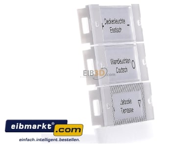 View on the left Gira 214203 Touch rocker for bus system white
