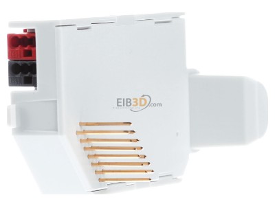 View on the right Gira 234300 Module for smoke detectors EIB, KNX Dual/VdS, 
