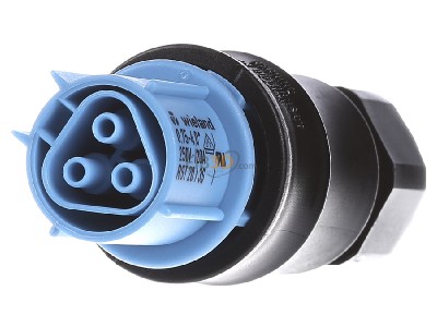 Front view Wieland RST20 #96.031.4153.9 Connector plug-in installation 3x4mm RST20 96.031.4153.9
