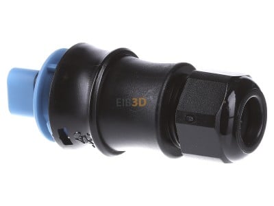 View on the right Wieland RST20 #96.032.4053.9 Connector plug-in installation 3x4mm RST20 96.032.4053.9
