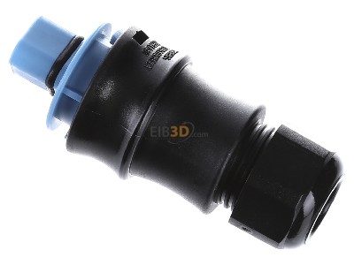 View top right Wieland RST20 #96.032.4053.9 Connector plug-in installation 3x4mm RST20 96.032.4053.9
