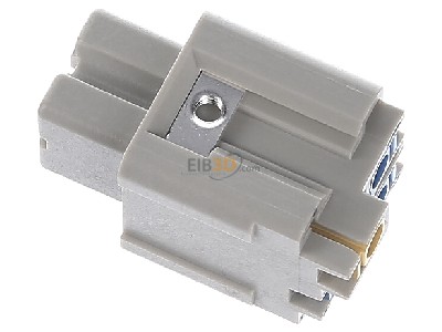 View top right Harting 09 20 003 2733 Socket insert for connector 3p 
