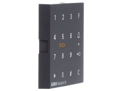 View on the left Gira 851328 Accessory for domestic switch device 
