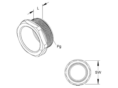 Mazeichnung Kleinhuis 248 21 Druckschraube Pg21 