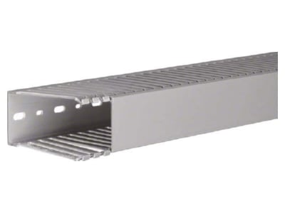 Product image 1 Tehalit DNG 100050 gr Slotted cable trunking system 98x49mm
