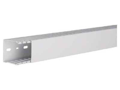 Product image 1 Tehalit HNG 50050 lgr Slotted cable trunking system 49x49mm
