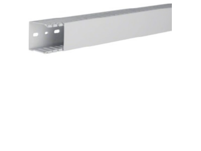 Product image 2 Tehalit HNG 50050 lgr Slotted cable trunking system 49x49mm