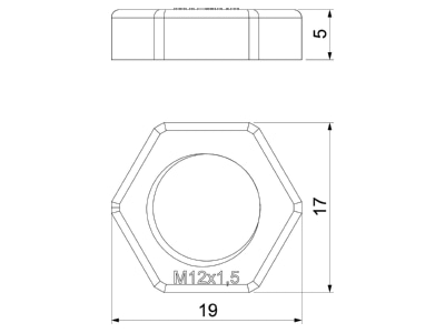Mazeichnung 2 OBO 116 M12 LGR PS Gegenmutter Iso