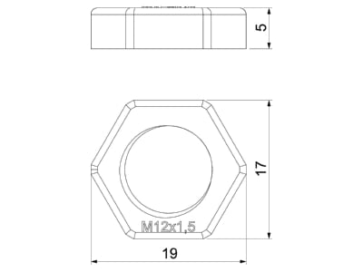 Mazeichnung 2 OBO 116 M12 LGR PS Gegenmutter Iso