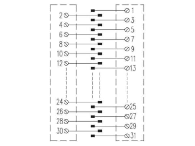 Schaltbild Weidmueller SKH2 31 LP Steckkartenhalter 31 pol  Eurokarten