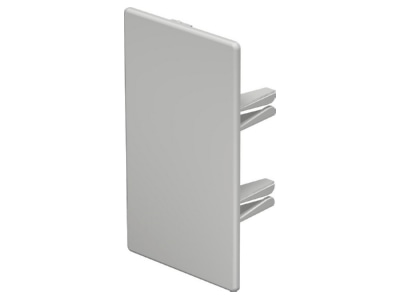 Produktbild OBO WDK HE60110LGR Endstueck 60x110mm