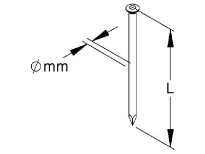 Dimensional drawing Kleinhuis 662 23 Nail 2x23mm