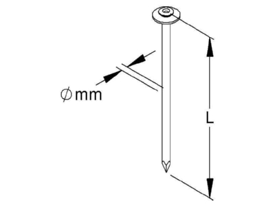 Dimensional drawing Kleinhuis 700 30 Nail 2x30mm