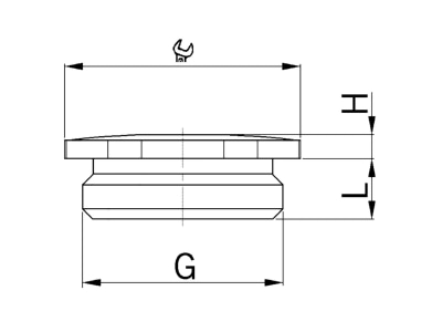 Dimensional drawing Kaiser 8841 12 Plug for cable screw gland M12