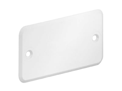 Product image 1 Kaiser 1148 90 Cover for flush mounted box rectangular
