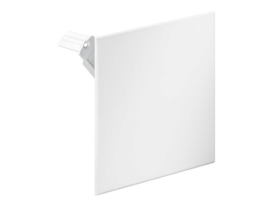 Product image Kaiser 9909 10 Cover for flush mounted box square
