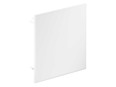 Product image Kaiser 9909 12 Cover for flush mounted box square
