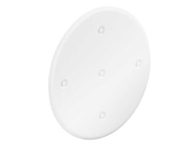 Product image 1 Kaiser 1184 77 Cover for flush mounted box round
