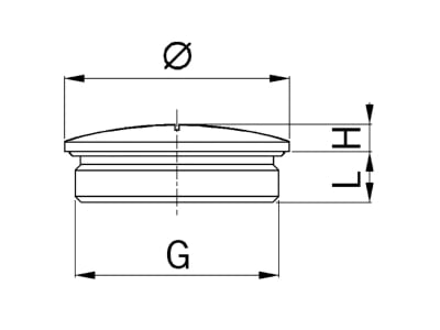 Dimensional drawing Kaiser 8845 20 Plug for cable screw gland M20