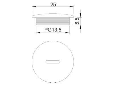 Masszeichnung 1 OBO 108 PG13 5 Verschlussschraube Iso lgr