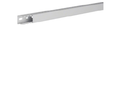 Product image 1 Tehalit HNG 25025 lgr Slotted cable trunking system 24x24mm

