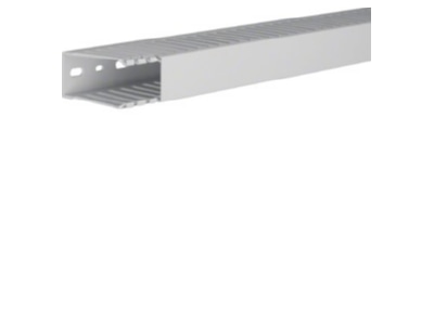Product image 1 Tehalit HNG 75037 lgr Slotted cable trunking system 73x36mm
