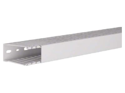 Product image 2 Tehalit HNG 75037 lgr Slotted cable trunking system 73x36mm