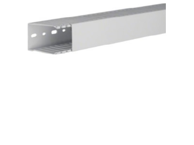 Product image 1 Tehalit HNG 75050 lgr Slotted cable trunking system 73x49mm
