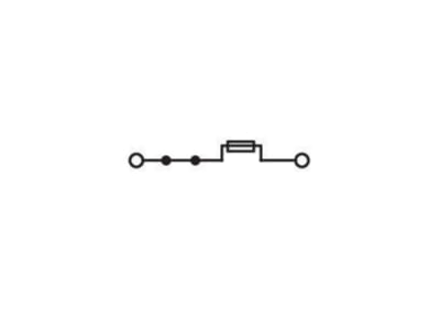 Circuit diagram WAGO 2002 1681 Blade fuse terminal block 10A 5 2mm