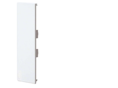 Product image 1 Tehalit M 5553 rws End cap for baseboard wireway 50x20mm
