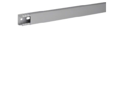 Product image 1 Tehalit BA6 20025B gr Slotted cable trunking system 21x32mm
