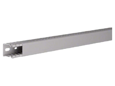 Product image 2 Tehalit BA6 30025B gr Slotted cable trunking system 33x31mm