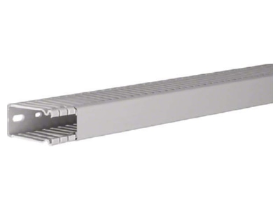 Product image 1 Tehalit BA6 60025B gr Slotted cable trunking system 64x31mm
