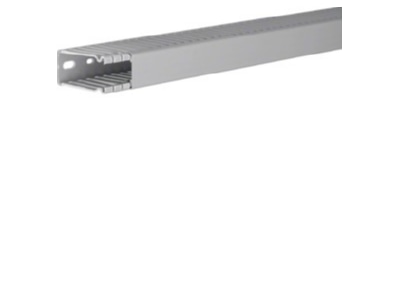 Product image 2 Tehalit BA6 60025B gr Slotted cable trunking system 64x31mm