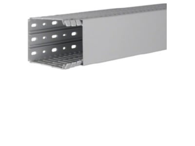 Product image 2 Tehalit BA7 100080 gr Slotted cable trunking system 100x80mm