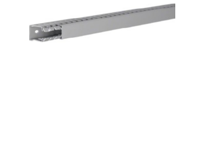 Product image 1 Tehalit BA7 40025 gr Slotted cable trunking system 40x25mm
