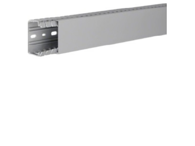 Product image 1 Tehalit BA7 40060 gr Slotted cable trunking system 40x60mm
