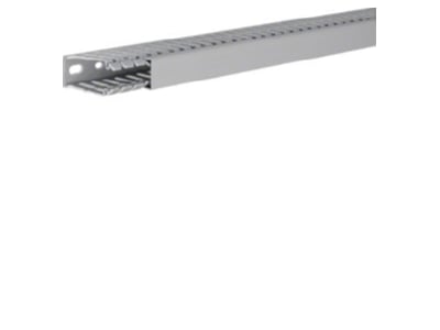 Product image 1 Tehalit BA7 60025 gr Slotted cable trunking system 60x25mm
