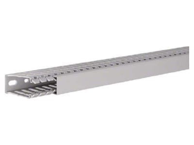 Product image 2 Tehalit BA7 60025 gr Slotted cable trunking system 60x25mm