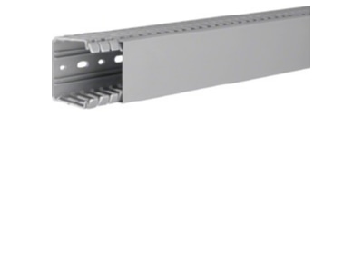 Product image 2 Tehalit BA7 60060 gr Slotted cable trunking system 60x60mm